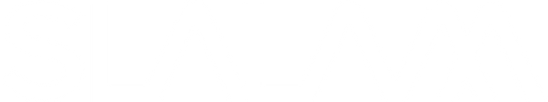Ski Slalam